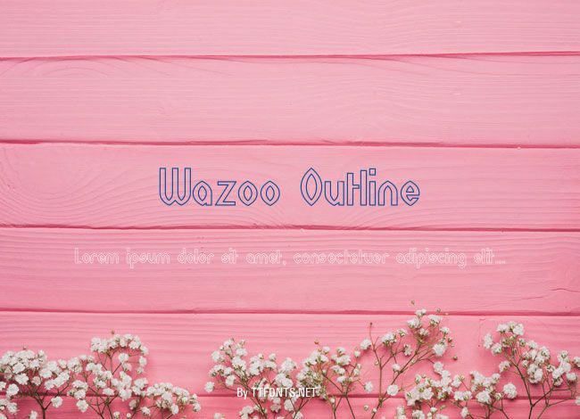 Wazoo Outline example